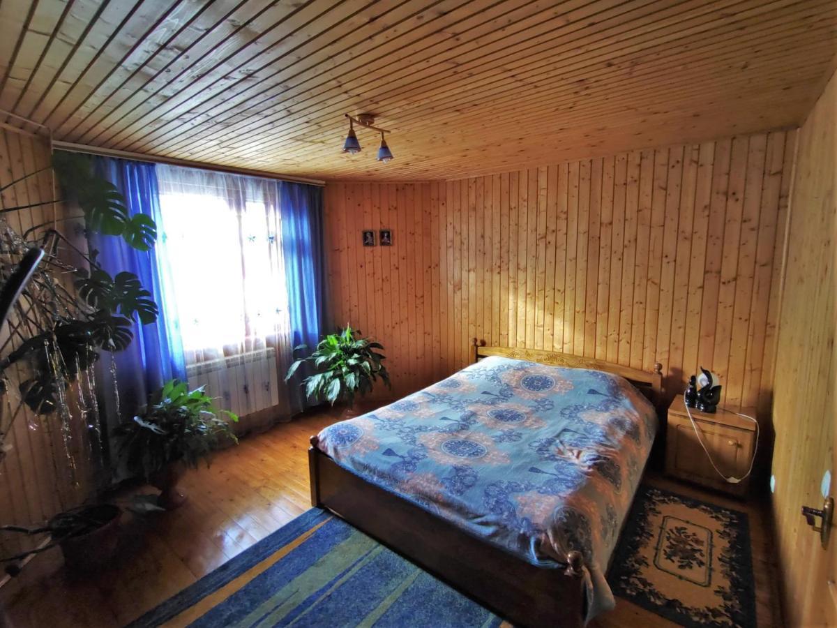 Guesthouse U Dida Viktora ヤレムチャ エクステリア 写真