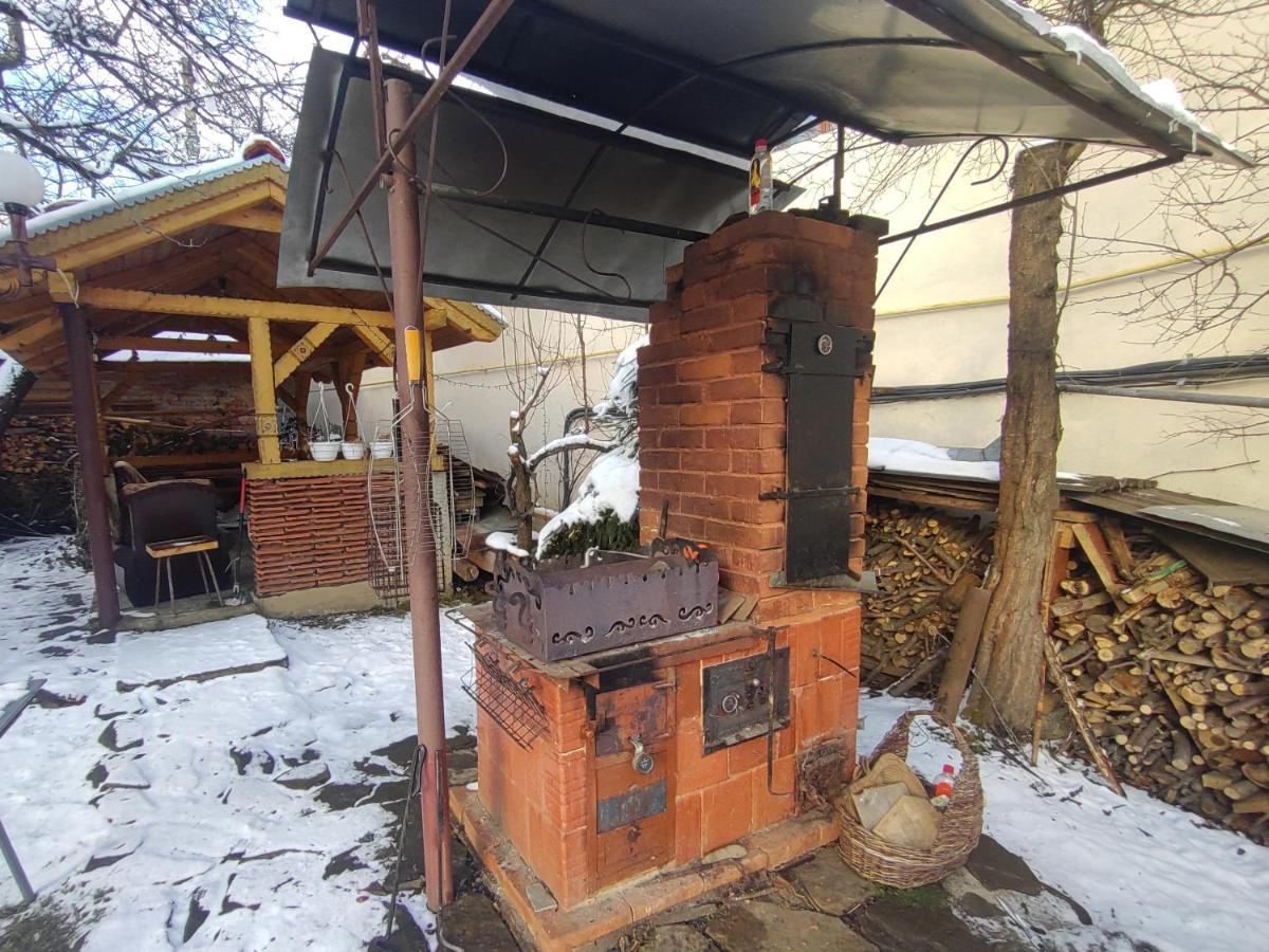 Guesthouse U Dida Viktora ヤレムチャ エクステリア 写真